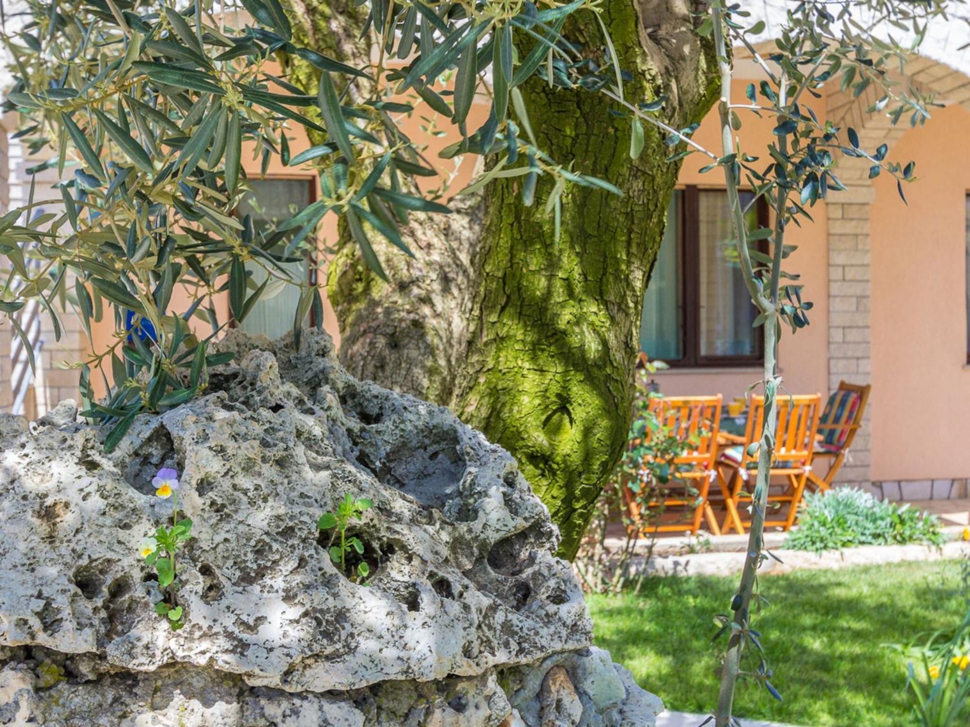 Ideal For Families With Pets Pula